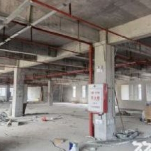 出售沧江工业园附近 50年独立产权全新厂房 多地有售