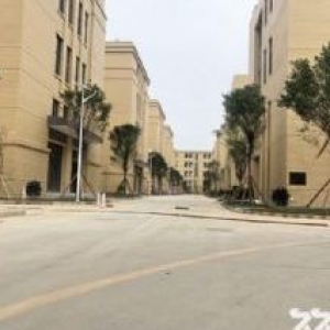 全新厂房出租 可分割 首层8米