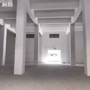 1000房结构厂房，承重5吨！柱距24米欢迎各行企业