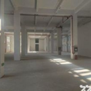 50年大产权厂房，政策互助，甲方直售