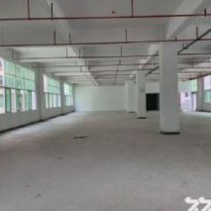 50年产权厂房出售，2000元一平方起，首付两成