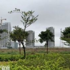 出售顺德乐从土地独栋厂房仓库50年国有产权可定制厂房1000