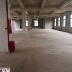 （出售）50年产权一楼8001200方全新独栋双拼厂房 工业