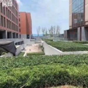 顺德1200方单层厂房，二楼以上，50年产权，电子电器安防科