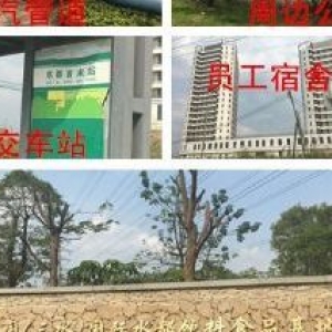 全新独门独院厂房，50年产权，最低2成首付可拥有，无强制税收