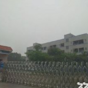 佛山市三水南丰大道中南边路段，交通方便，大货柜可以直入，厂房