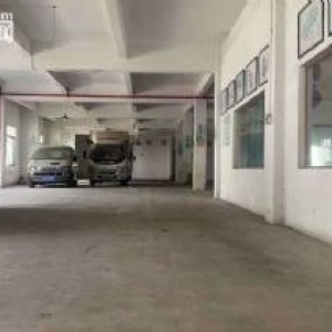 桂城平洲国有红本28000方标准园区，带消防证，市政排污管，