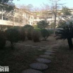 禅城张槎一楼10000平方米标准厂房出租，可分租.3000平