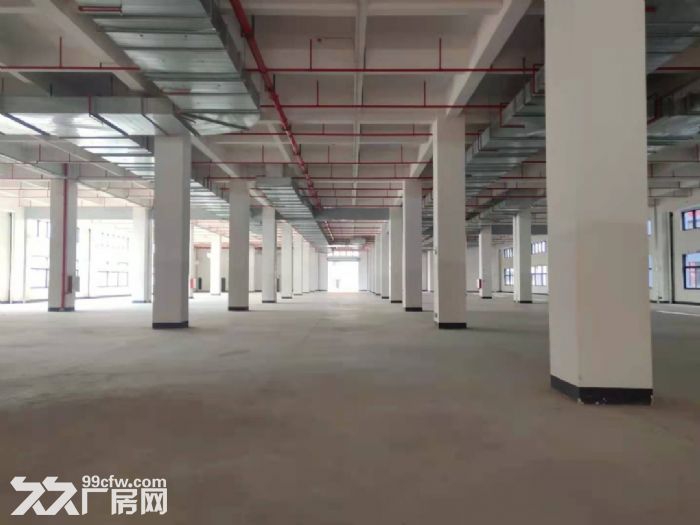 全新精装修红本厂房 面积大小可分-图7