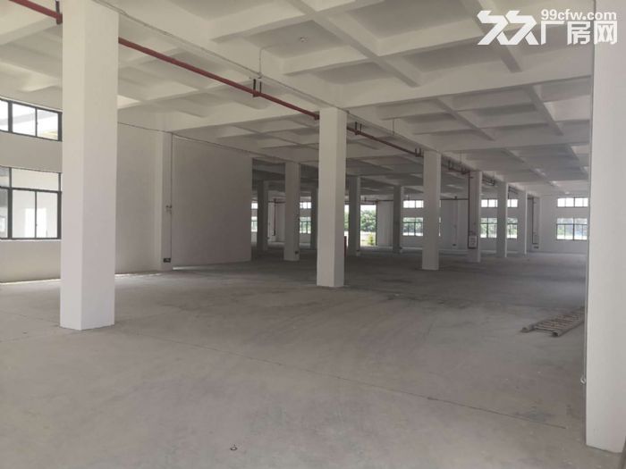 广州佛山三水区全新独栋2层带货梯厂房出租-图3