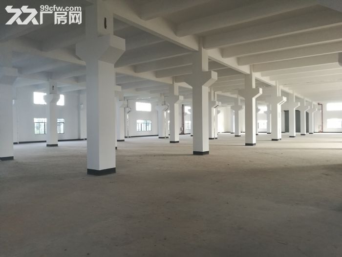 佛山三水全新独院1−4层厂房出租-图2