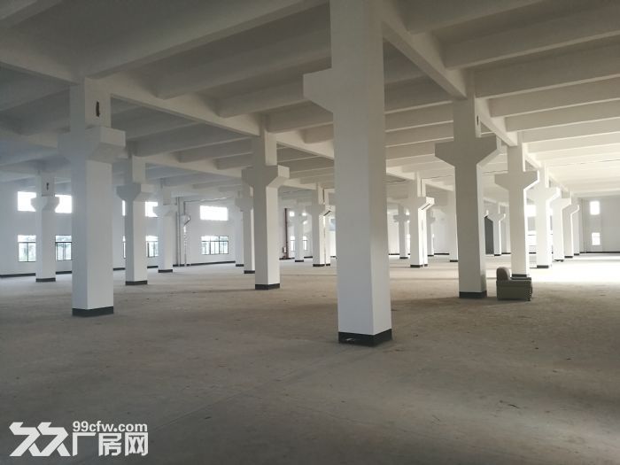 佛山三水全新独院1−4层厂房出租-图3
