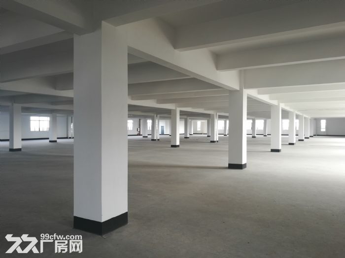 佛山三水全新独院1−4层厂房出租-图4