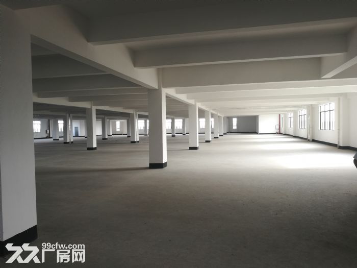 佛山三水全新独院1−4层厂房出租-图5