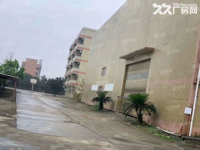高明区富湾工业区独门独院6300方带航车厂房出租-图5