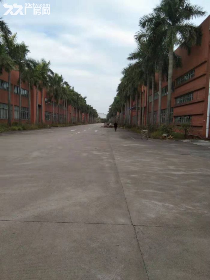 顺德区伦教原房东单一层钢结构150000方厂房出租-图3