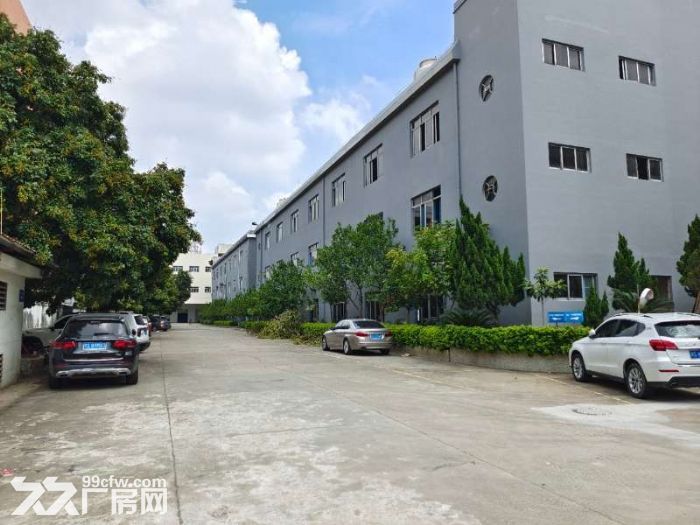里水漂亮的单一层独院出租手快有手慢无-图2