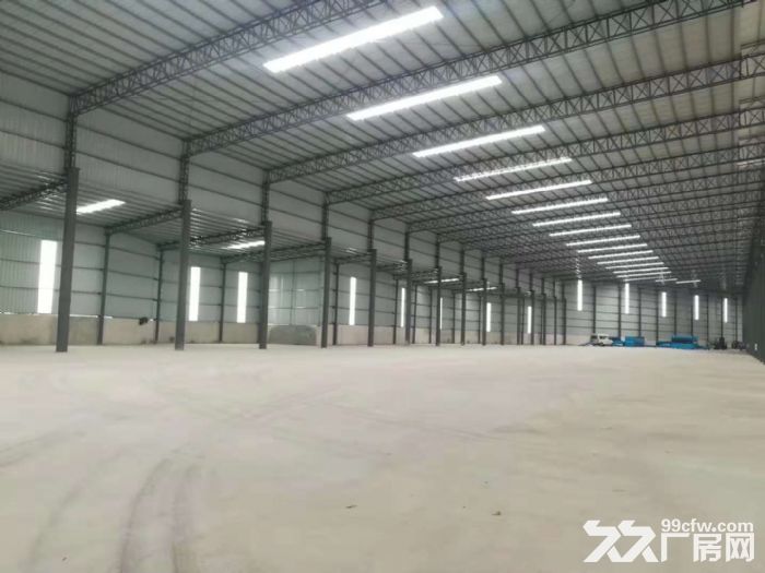 高明新建单一层厂房出租滴水10米可分租