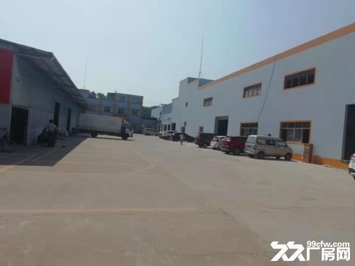 高明明城新建单一层厂房出租滴水10米可分租-图2