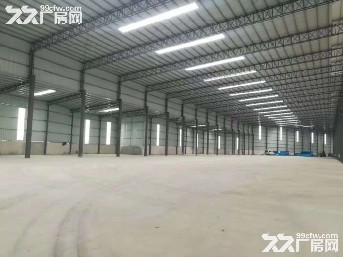 高明明城新建单一层厂房出租滴水10米可分租