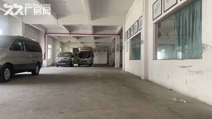 桂城平洲国有红本28000方标准园区，带消防证，市政排污管，300平方起租