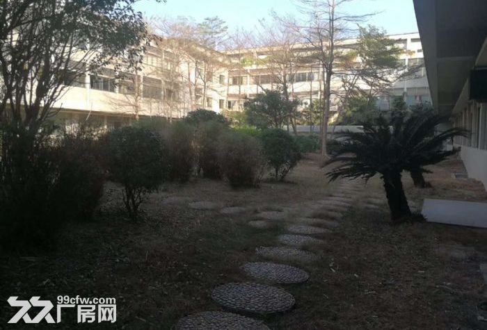 禅城张槎一楼10000平方米标准厂房出租，可分租.3000平起