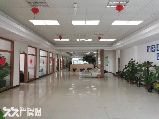 高明单一层钢构带家具环评合约37150平方滴水十米-图4