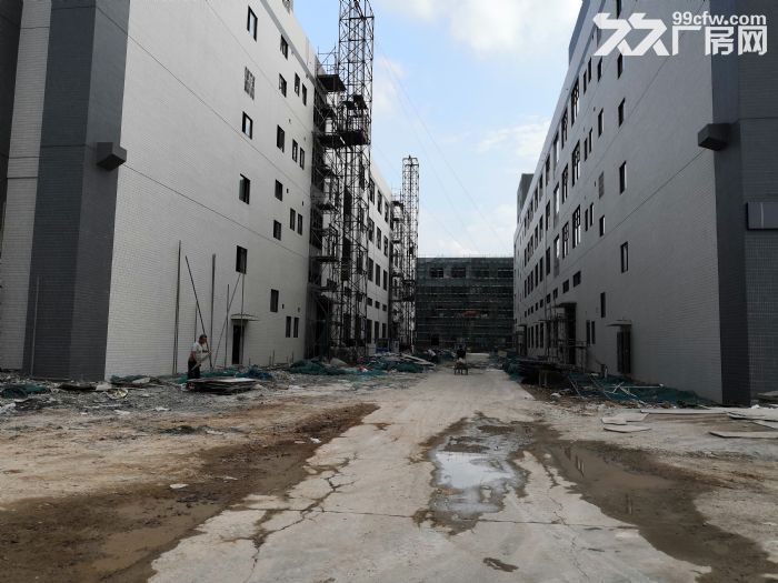 特招印刷、化妆品、电器、玩具、灯具、汽配电子-图4